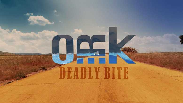 Gli O.R.k. presentano il nuovo video di "DEADLY BITE" prima della loro partecipazione al 2DAYS PROG + 1 FESTIVAL Gli O.R.k. presentano il nuovo video di "DEADLY BITE" prima della loro partecipazione al 2DAYS PROG + 1 FESTIVAL